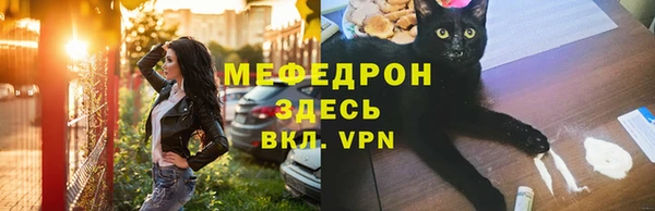 индика Богородск