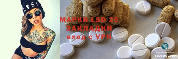 ГАЛЛЮЦИНОГЕННЫЕ ГРИБЫ Богданович