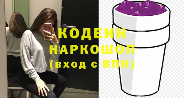 индика Богородск