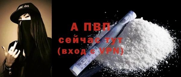 индика Богородск