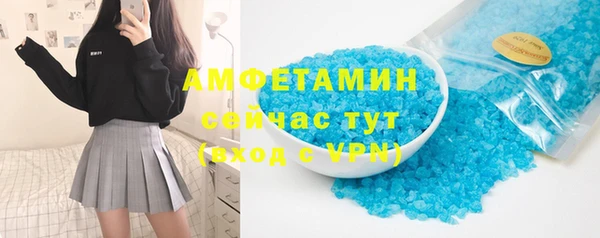 индика Богородск