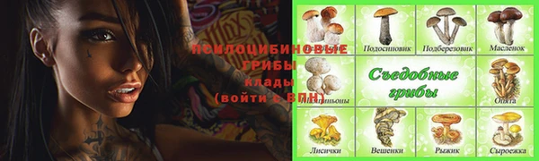 спайс Богородицк