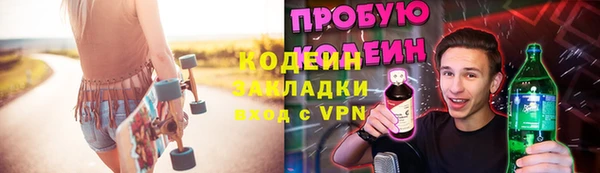 ГАЛЛЮЦИНОГЕННЫЕ ГРИБЫ Богданович