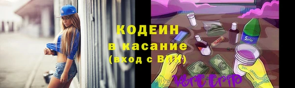 ГАЛЛЮЦИНОГЕННЫЕ ГРИБЫ Богданович
