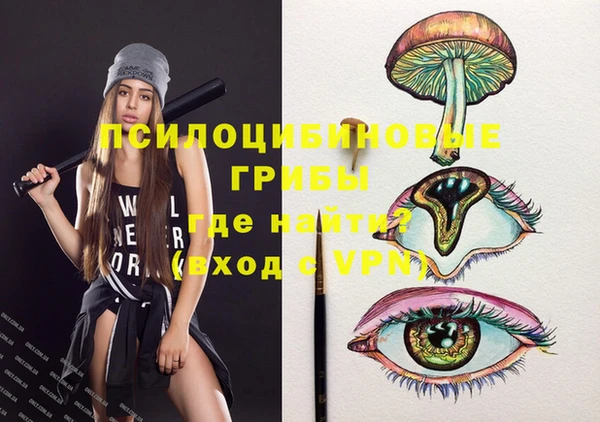индика Богородск