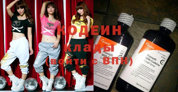индика Богородск