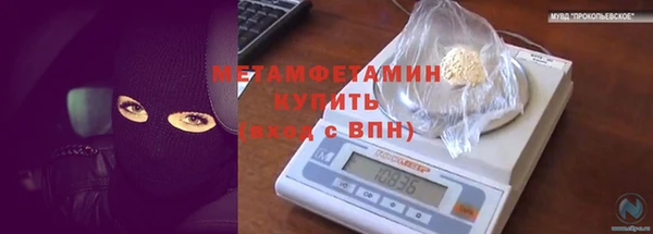 ГАЛЛЮЦИНОГЕННЫЕ ГРИБЫ Богданович