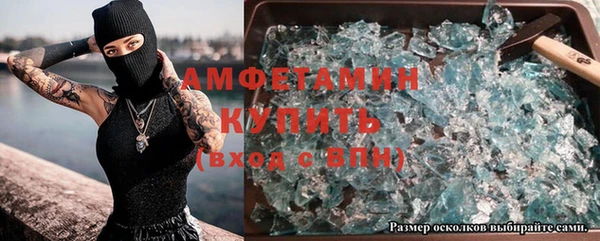 ГАЛЛЮЦИНОГЕННЫЕ ГРИБЫ Богданович