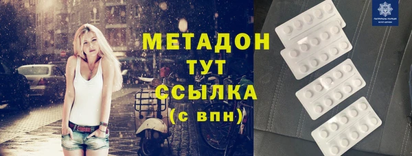 индика Богородск