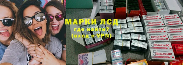 индика Богородск