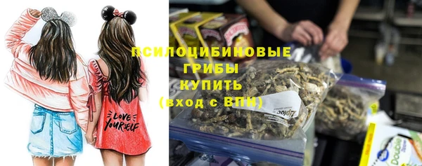 индика Богородск