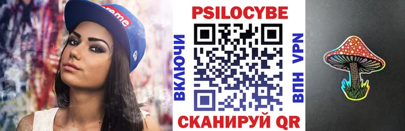 Псилоцибиновые грибы Psilocybe  Купить закладки  Котово 