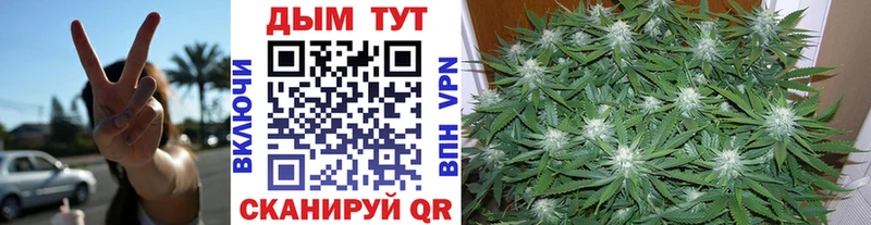Купить где  Котово  Бошки Шишки индика 
